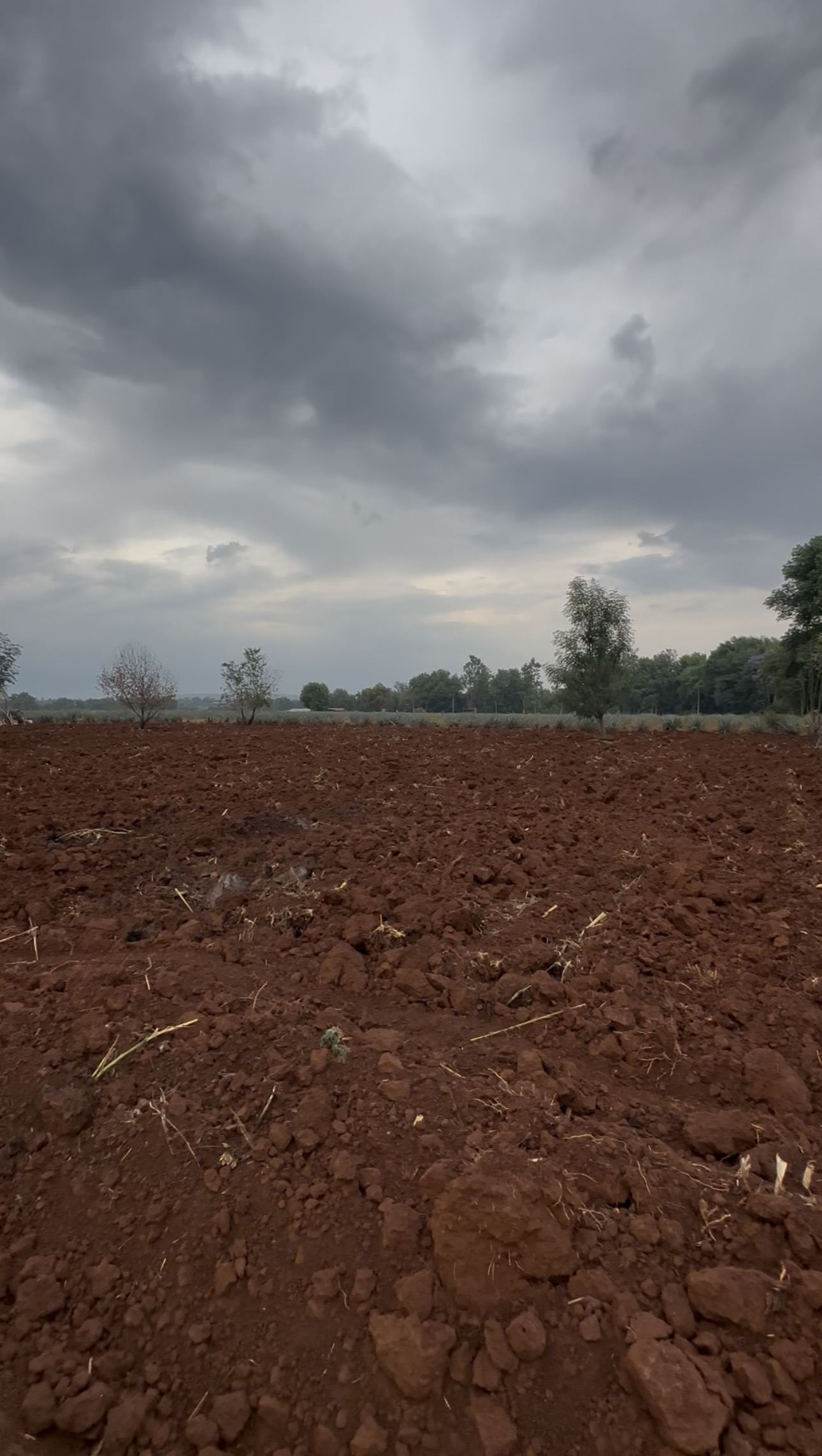 Terreno Bajío de Ratones, Arandas, Jalisco