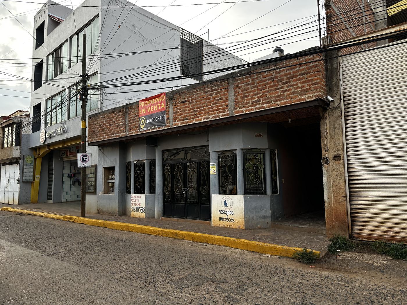 Propiedad Calle Ramón Corona, Centro, Arandas