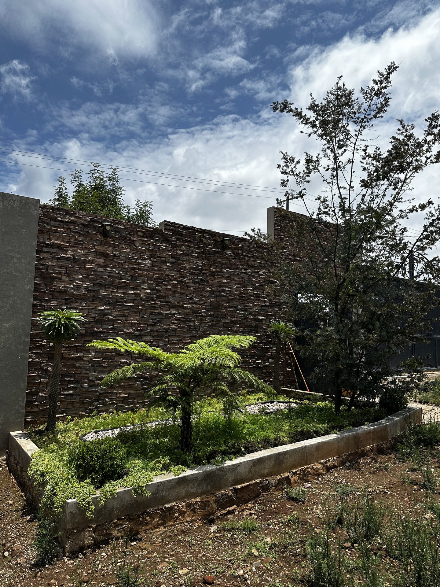 Jardín con muro de piedra